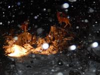 Hofalm Weihnacht &ndash; &copy; Kerstin Hugel (Eberhardt TRAVEL)