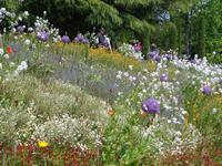 Insel Mainau &ndash; &copy; Kerstin Hugel (Eberhardt TRAVEL)