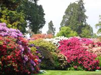 Insel Mainau &ndash; &copy; Kerstin Hugel (Eberhardt TRAVEL)