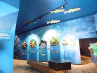 Im Wildpark Ferleiten &ndash; &copy; Anne Sturm (Eberhardt TRAVEL)