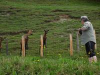Nanu?! &ndash; &copy; Anne Sturm (Eberhardt TRAVEL)