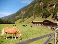 Zillergrund &ndash; &copy; Rico Manns (Eberhardt TRAVEL)