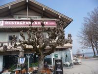 Im Restaurant 