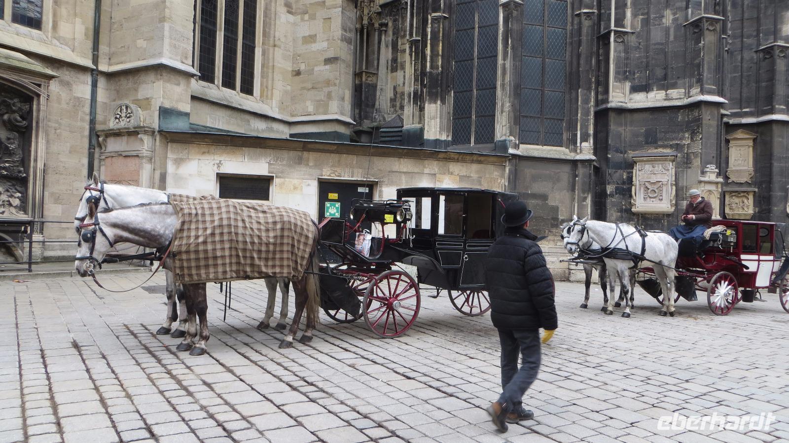 Am Stephansdom &ndash; &copy; Kerstin Hugel (Eberhardt TRAVEL)