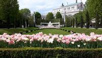 Wien_2016 (24)