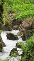 Breitachklamm &ndash; &copy; Kerstin Hugel (Eberhardt TRAVEL)
