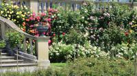 Insel Mainau &ndash; &copy; Kerstin Hugel (Eberhardt TRAVEL)
