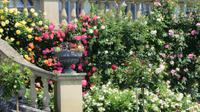 Insel Mainau &ndash; &copy; Kerstin Hugel (Eberhardt TRAVEL)