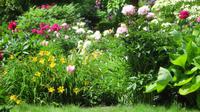 Insel Mainau &ndash; &copy; Kerstin Hugel (Eberhardt TRAVEL)