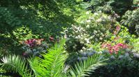 Insel Mainau &ndash; &copy; Kerstin Hugel (Eberhardt TRAVEL)