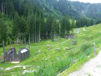 Lindlingalm &ndash; &copy; Jens Fischer (Eberhardt TRAVEL)