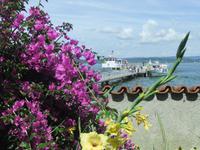 Mainau-Impression &ndash; &copy; Martina Pötschke (Eberhardt TRAVEL)