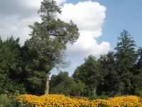 Schloss Eckartsau &ndash; &copy; Kerstin Hugel (Eberhardt TRAVEL)