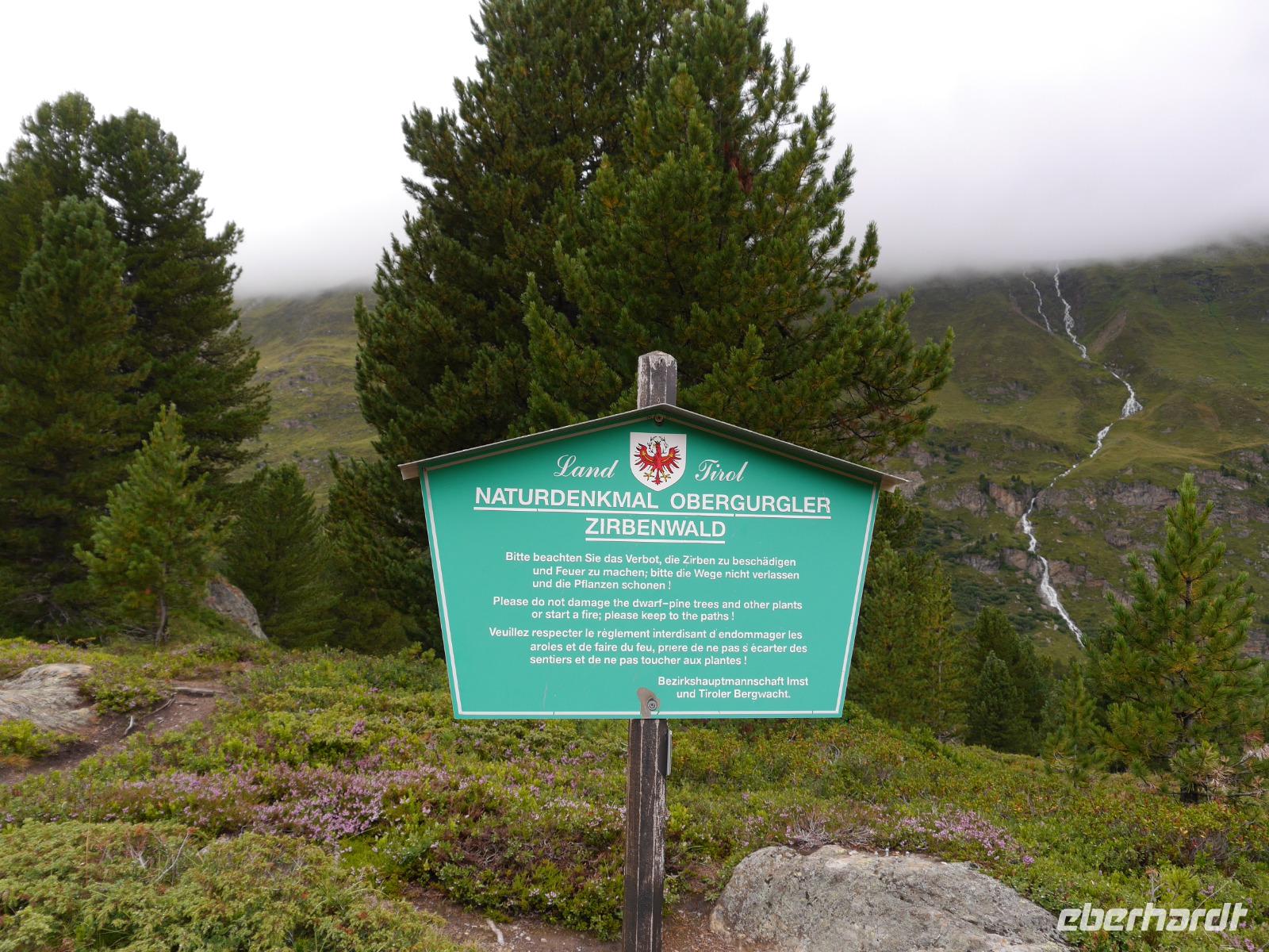 Zirbenwald &ndash; &copy; Betina Marinow (Eberhardt TRAVEL)