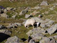 P1150414 &ndash; &copy; Betina Marinow (Eberhardt TRAVEL)