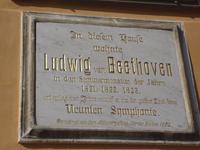 103 Beethoven &ndash; &copy; Uta Leßke (Eberhardt TRAVEL)