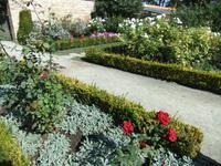 Im Rosengarten &ndash; &copy; Martina Pötschke (Eberhardt TRAVEL)