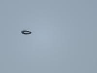 Es gibt sie doch - Ufo &ndash; &copy; Petra Sauer (Eberhardt TRAVEL)