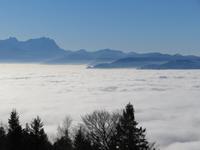 Rheintal &ndash; &copy; Petra Sauer (Eberhardt TRAVEL)