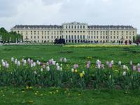Schloss Schönbrunn &ndash; &copy; Martina Pötschke (Eberhardt TRAVEL)