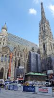 Steffl &ndash; &copy; Steffi Zimmermann (Eberhardt TRAVEL)