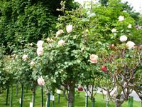 Volkspark &ndash; &copy; Steffi Zimmermann (Eberhardt TRAVEL)