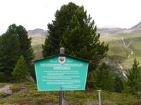 Naturdenkmal Zirbenwald &ndash; &copy; Betina Marinov (Eberhardt TRAVEL)