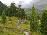 Zirbenwald &ndash; &copy; Betina Marinov (Eberhardt TRAVEL)