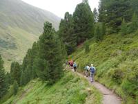 Zirbenwald &ndash; &copy; Betina Marinov (Eberhardt TRAVEL)