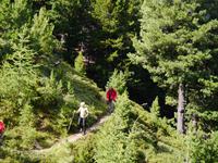 Weg im Königstal &ndash; &copy; Betina Marinov (Eberhardt TRAVEL)