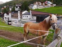 Obergurgl &ndash; &copy; Betina Marinov (Eberhardt TRAVEL)
