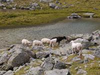 Impressionen &ndash; &copy; Betina Marinov (Eberhardt TRAVEL)
