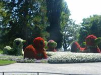 Insel Mainau &ndash; &copy; Kerstin Hugel (Eberhardt TRAVEL)