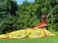 Insel Mainau &ndash; &copy; Kerstin Hugel (Eberhardt TRAVEL)