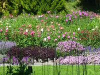 Insel Mainau &ndash; &copy; Kerstin Hugel (Eberhardt TRAVEL)