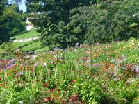 Insel Mainau &ndash; &copy; Kerstin Hugel (Eberhardt TRAVEL)