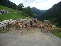Wildpark Aurach &ndash; &copy; Harald Kühne (Eberhardt TRAVEL)