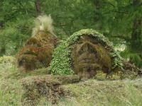 Insel Mainau &ndash; &copy; Kerstin Hugel (Eberhardt TRAVEL)