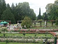 Insel Mainau &ndash; &copy; Kerstin Hugel (Eberhardt TRAVEL)
