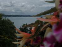 Insel Mainau