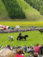 Reise ins Brixental/Tirol - Hengstauftrieb Aschau &ndash; &copy; Mandy Lehmann (Eberhardt TRAVEL)