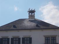 DSCN1445 &ndash; &copy; Kerstin Veit (Eberhardt TRAVEL)
