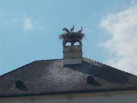 DSCN1446 &ndash; &copy; Kerstin Veit (Eberhardt TRAVEL)