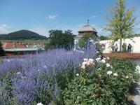 DSCN1538  Teesalon Mayerling &ndash; &copy; Kerstin Veit (Eberhardt TRAVEL)