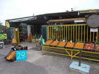 DSCN1563  Obststand CZ &ndash; &copy; Kerstin Veit (Eberhardt TRAVEL)