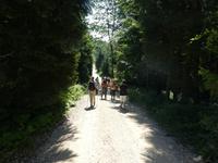 Grünberg &ndash; &copy; Vicky Kern (Eberhardt TRAVEL)