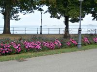 Bregenz &ndash; &copy; Ingrid Langer (Eberhardt TRAVEL)