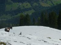 Hochwurzen &ndash; &copy; Kerstin Hugel (Eberhardt TRAVEL)