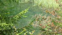 Steirische Bodensee &ndash; &copy; Kerstin Hugel (Eberhardt TRAVEL)