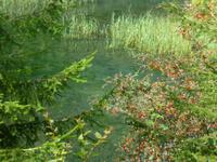 Steirische Bodensee &ndash; &copy; Kerstin Hugel (Eberhardt TRAVEL)